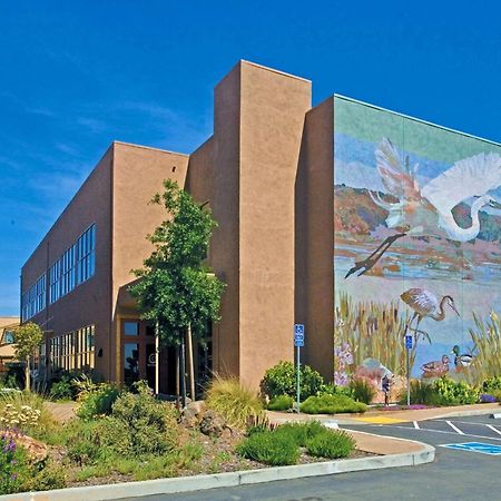 Doubletree By Hilton Napa Valley - American Canyon Extérieur photo